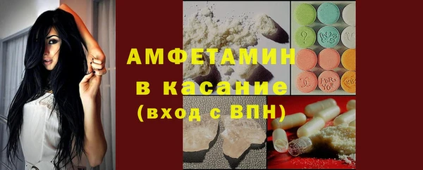 индика Алзамай