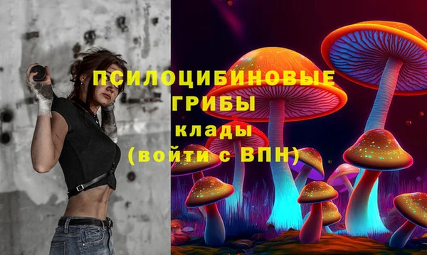 индика Алзамай